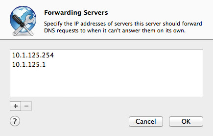 DNS - My Forwarding Settings.