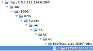 The Caching Server's Proxy Tree.