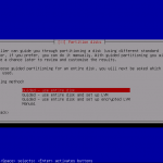 Debian - Partition Style