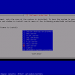 Debian - Package Selection